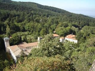 Albergo La Foresta Reggello Eksteriør billede
